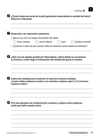 2
CONTROL A
6 	 ¿Tienen todas las zonas de la piel igualmente desarrollado el sentido del tacto?
Razona tu respuesta.


7 	 Responde a las siguientes cuestiones.
•	 Marca con una X el órgano del sentido del olfato:
 
fosas nasales     
nervio olfativo     
nariz      pituitaria amarilla
•  ¿Cuál es la razón de que nuestro olfato se resienta cuando estamos resfriados?

8 	 ¿Qué son las papilas gustativas? Descríbelas, indica dónde se encuentran,
su función y cómo llega la información del sentido del gusto al cerebro.



9 	 Indica dos medidas para mantener la salud de nuestros sentidos.
¿A qué médico debemos acudir si se resienten nuestros ojos? ¿Y si lo hacen
nuestros oídos?



10	 Pon tres ejemplos de contaminación acústica y explica cómo podemos
evitar que dañe nuestra salud.





Material fotocopiable © 2015 Santillana Educación, S. L. 19
Ciencias de la Naturaleza 4
 