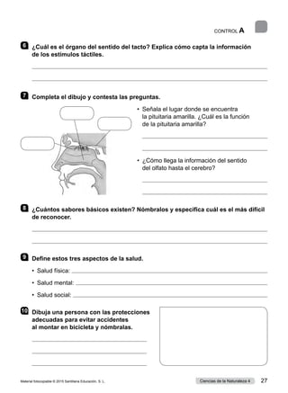 CONTROL A
6 	 ¿Cuál es el órgano del sentido del tacto? Explica cómo capta la información
de los estímulos táctiles.


7 	 Completa el dibujo y contesta las preguntas.
•	 Señala el lugar donde se encuentra
la pituitaria amarilla. ¿Cuál es la función
de la pituitaria amarilla?
	 
	 
•	 ¿Cómo llega la información del sentido
del olfato hasta el cerebro?
	 
	 
8 	 ¿Cuántos sabores básicos existen? Nómbralos y especifica cuál es el más difícil
de reconocer.


9 	 Define estos tres aspectos de la salud.
•  Salud física: 
•  Salud mental: 
•  Salud social: 
10	 Dibuja una persona con las protecciones
adecuadas para evitar accidentes
al montar en bicicleta y nómbralas.



Material fotocopiable © 2015 Santillana Educación, S. L. 27
Ciencias de la Naturaleza 4
 