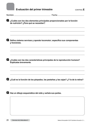 Nombre Fecha
1 	 ¿Cuáles son los dos elementos principales proporcionados por la función
de nutrición? ¿Para qué se necesitan?



2 	 Define sistema nervioso y aparato locomotor; especifica sus componentes
y funciones.



3 	 ¿Cuáles son las dos características principales de la reproducción humana?
Explícalas brevemente.



4 	 ¿Cuál es la función de los párpados, las pestañas y las cejas? ¿Y la de la retina?


5 	 Haz un dibujo esquemático del oído y señala sus partes.
CONTROL E
Evaluación del primer trimestre
Material fotocopiable © 2015 Santillana Educación, S. L.
28 Ciencias de la Naturaleza 4
 