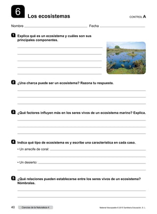 Nombre Fecha
6 Los ecosistemas CONTROL A
1 	 Explica qué es un ecosistema y cuáles son sus
principales componentes.
2 	 ¿Una charca puede ser un ecosistema? Razona tu respuesta.



3 	 ¿Qué factores influyen más en los seres vivos de un ecosistema marino? Explica.



4 	 Indica qué tipo de ecosistema es y escribe una característica en cada caso.
• Un arrecife de coral: 

• Un desierto: 

5 	 ¿Qué relaciones pueden establecerse entre los seres vivos de un ecosistema?
Nómbralas.


Material fotocopiable © 2015 Santillana Educación, S. L.
40 Ciencias de la Naturaleza 4
 