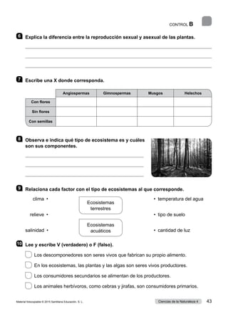 CONTROL B
6 	 Explica la diferencia entre la reproducción sexual y asexual de las plantas.



7 	 Escribe una X donde corresponda.
8 	 Observa e indica qué tipo de ecosistema es y cuáles
son sus componentes.
9 	 Relaciona cada factor con el tipo de ecosistemas al que corresponde.
	 clima  •	 •  temperatura del agua
	 relieve  •	 •  tipo de suelo
salinidad  •	 •  cantidad de luz
10	 Lee y escribe V (verdadero) o F (falso).
  
Los descomponedores son seres vivos que fabrican su propio alimento.
 
En los ecosistemas, las plantas y las algas son seres vivos productores.
 
Los consumidores secundarios se alimentan de los productores.
 
Los animales herbívoros, como cebras y jirafas, son consumidores primarios.
Angiospermas Gimnospermas Musgos Helechos
Con flores
Sin flores
Con semillas
Ecosistemas
terrestres
Ecosistemas
acuáticos
Material fotocopiable © 2015 Santillana Educación, S. L. 43
Ciencias de la Naturaleza 4
 