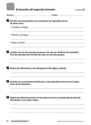 Nombre Fecha
1 	 Escribe una característica que compartan los siguientes reinos
de seres vivos.
•	 Animales y hongos: 
	 
•	 Plantas y animales: 
	 
•	 Algas y plantas: 
	 
2 	 ¿Cuáles son los dos grandes grupos en los que se clasifican los animales?
Pon dos ejemplos de animales de cada uno de esos grupos.


3 	 Explica las diferencias y las semejanzas entre algas y plantas.


4 	 Escribe una característica beneficiosa y otra perjudicial tanto de los hongos
como de las bacterias.


5 	 Explica las diferencias entre el maíz (planta anual) y el perejil (planta bianual),
atendiendo a sus ciclos vitales.



CONTROL E
Evaluación del segundo trimestre
Material fotocopiable © 2015 Santillana Educación, S. L.
46 Ciencias de la Naturaleza 4
 