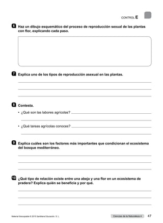 CONTROL E
6 	 Haz un dibujo esquemático del proceso de reproducción sexual de las plantas
con flor, explicando cada paso.
7 	 Explica uno de los tipos de reproducción asexual en las plantas.



8 	Contesta.
•	 ¿Qué son las labores agrícolas? 
	 
•	 ¿Qué tareas agrícolas conoces? 
	 
9 	 Explica cuáles son los factores más importantes que condicionan el ecosistema
del bosque mediterráneo.



10	 ¿Qué tipo de relación existe entre una abeja y una flor en un ecosistema de
pradera? Explica quién se beneficia y por qué.



Material fotocopiable © 2015 Santillana Educación, S. L. 47
Ciencias de la Naturaleza 4
 