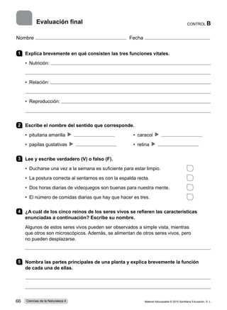 Nombre Fecha
1 	 Explica brevemente en qué consisten las tres funciones vitales.
•  Nutrición: 

•  Relación: 

•  Reproducción: 

2 	 Escribe el nombre del sentido que corresponde.
•  pituitaria amarilla    	 •  caracol   
•  papilas gustativas    	 •  retina   
3 	 Lee y escribe verdadero (V) o falso (F).
•  Ducharse una vez a la semana es suficiente para estar limpio.	
•  La postura correcta al sentarnos es con la espalda recta.	
•  Dos horas diarias de videojuegos son buenas para nuestra mente.	
•  El número de comidas diarias que hay que hacer es tres.	
4 	 ¿A cuál de los cinco reinos de los seres vivos se refieren las características
enunciadas a continuación? Escribe su nombre.
Algunos de estos seres vivos pueden ser observados a simple vista, mientras
que otros son microscópicos. Además, se alimentan de otros seres vivos, pero
no pueden desplazarse.

5 	 Nombra las partes principales de una planta y explica brevemente la función
de cada una de ellas.


Evaluación final CONTROL B
Material fotocopiable © 2015 Santillana Educación, S. L.
66 Ciencias de la Naturaleza 4
 