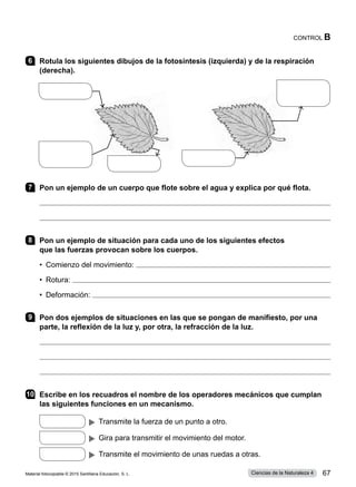 6 	 Rotula los siguientes dibujos de la fotosíntesis (izquierda) y de la respiración
(derecha).
7 	 Pon un ejemplo de un cuerpo que flote sobre el agua y explica por qué flota.


8 	 Pon un ejemplo de situación para cada uno de los siguientes efectos
que las fuerzas provocan sobre los cuerpos.
•  Comienzo del movimiento: 
•  Rotura: 
•  Deformación: 
9 	 Pon dos ejemplos de situaciones en las que se pongan de manifiesto, por una
parte, la reflexión de la luz y, por otra, la refracción de la luz.



10	 Escribe en los recuadros el nombre de los operadores mecánicos que cumplan
las siguientes funciones en un mecanismo.
    Transmite la fuerza de un punto a otro.
    Gira para transmitir el movimiento del motor.
    Transmite el movimiento de unas ruedas a otras.
CONTROL B
Material fotocopiable © 2015 Santillana Educación, S. L. 67
Ciencias de la Naturaleza 4
 