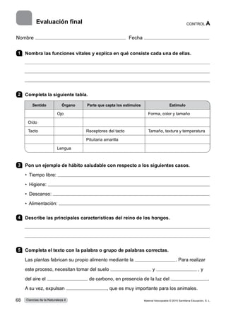 Nombre Fecha
1 	 Nombra las funciones vitales y explica en qué consiste cada una de ellas.
2 	 Completa la siguiente tabla.
Sentido Órgano Parte que capta los estímulos Estímulo
Ojo Forma, color y tamaño
Oído
Tacto Receptores del tacto Tamaño, textura y temperatura
Pituitaria amarilla
Lengua
3 	 Pon un ejemplo de hábito saludable con respecto a los siguientes casos.
•  Tiempo libre: 
•  Higiene: 
•  Descanso: 
•  Alimentación: 
4 	 Describe las principales características del reino de los hongos.
5 	 Completa el texto con la palabra o grupo de palabras correctas.
Las plantas fabrican su propio alimento mediante la . Para realizar
este proceso, necesitan tomar del suelo y , y
del aire el de carbono, en presencia de la luz del .
A su vez, expulsan , que es muy importante para los animales.
Evaluación final CONTROL A
Material fotocopiable © 2015 Santillana Educación, S. L.
68 Ciencias de la Naturaleza 4
 