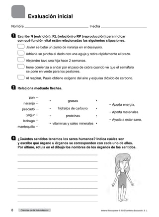 Nombre Fecha
1 	 Escribe N (nutrición), RL (relación) o RP (reproducción) para indicar
con qué función vital están relacionadas las siguientes situaciones.
  Javier se bebe un zumo de naranja en el desayuno.
  Adriana se pincha el dedo con una aguja y retira rápidamente el brazo.
 
Alejandro tuvo una hija hace 2 semanas.
 
Irene comienza a andar por el paso de cebra cuando ve que el semáforo
se pone en verde para los peatones.
  Al respirar, Paula obtiene oxígeno del aire y expulsa dióxido de carbono.
2 	 Relaciona mediante flechas.
pan  •
naranja  •
pescado  •
yogur  •
lechuga  •
mantequilla  •
•	 grasas	 •
•	 hidratos de carbono	 •
•	 proteínas	 •
•	 vitaminas y sales minerales	 •
•  Aporta energía.
•  Aporta materiales.
•  Ayuda a estar sano.
3 	 ¿Cuántos sentidos tenemos los seres humanos? Indica cuáles son
y escribe qué órgano u órganos se corresponden con cada uno de ellos.
Por último, rotula en el dibujo los nombres de los órganos de los sentidos.








Evaluación inicial
Material fotocopiable © 2015 Santillana Educación, S. L.
8 Ciencias de la Naturaleza 4
 