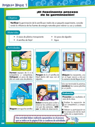 Proyecto Bloque 1
                                                                                 ¡El fascinante proceso
...