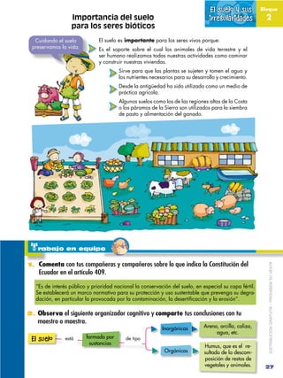 El suelo y sus          Bloque
                  Importancia del suelo                                          irregulari...