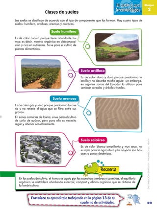 El suelo y sus          Bloque

                                                                                  irregula...