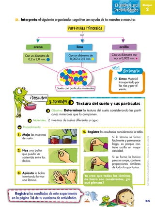 El suelo y sus           Bloque

                                                                                  irregul...