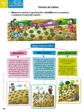 Bloque                                        El suelo y sus
               2                              irregularidades...