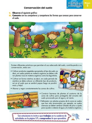 El suelo y sus       Bloque

                                                                          irregularidades    ...