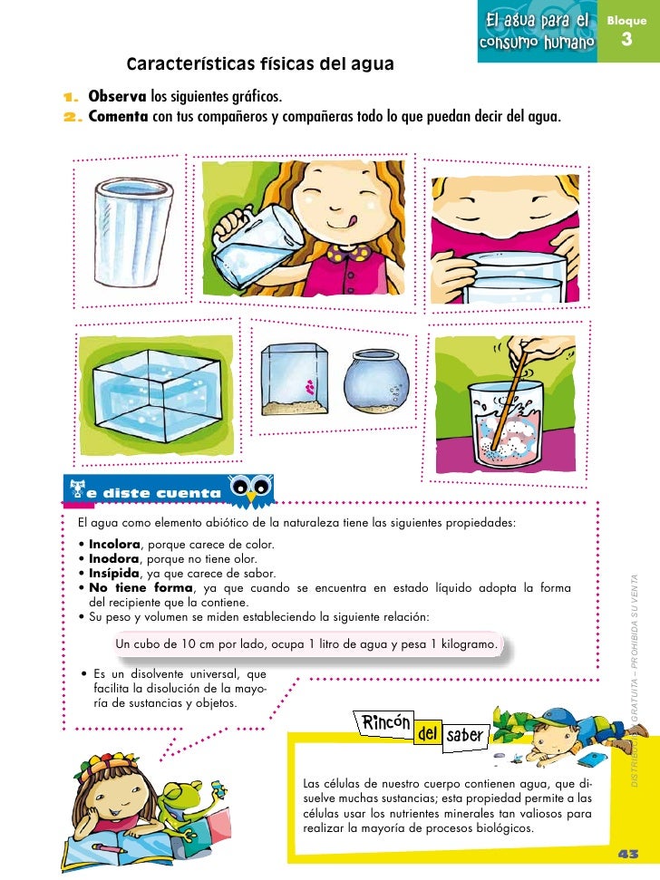 Naturales 4 2