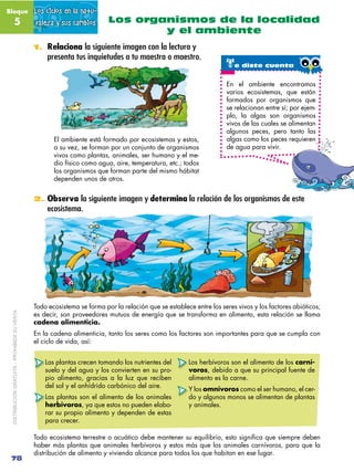 Bloque                                        Los ciclos en la natu-
               5                               raleza...
