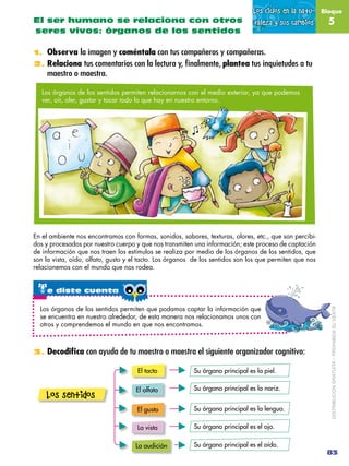 Los ciclos en la natu-   Bloque
El ser humano se relaciona con otros                                             raleza y ...