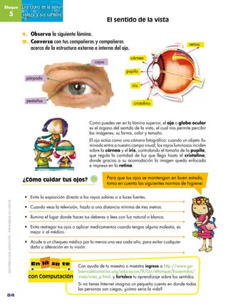 Bloque                                        Los ciclos en la natu-
               5                               raleza...
