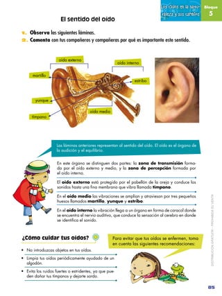 Los ciclos en la natu-   Bloque

                                                                              raleza y su...