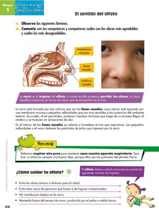 Bloque                                        Los ciclos en la natu-
               5                               raleza...