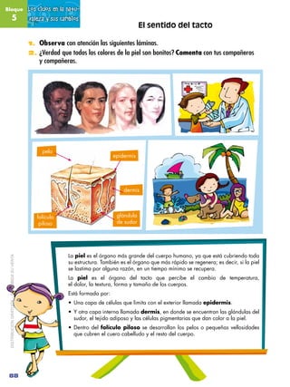 Bloque                                        Los ciclos en la natu-
               5                               raleza...