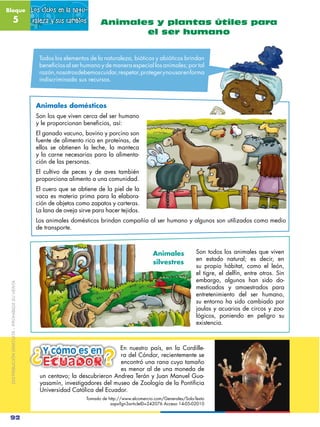 Bloque                                        Los ciclos en la natu-
               5                               raleza y sus cambios       Animales y plantas útiles para
                                                                                 el ser humano


                                                 Todos los elementos de la naturaleza, bióticos y abióticos brindan
                                                 beneficios al ser humano y de manera especial los animales; por tal
                                                 razón, nosotros debemos cuidar, respetar, proteger y no usar en forma
                                                 indiscriminada sus recursos.



                                               Animales domésticos
                                               Son los que viven cerca del ser humano
                                               y le proporcionan beneficios, así:
                                               El ganado vacuno, bovino y porcino son
                                               fuente de alimento rico en proteínas, de
                                               ellos se obtienen la leche, la manteca
                                               y la carne necesarias para la alimenta-
                                               ción de las personas.
                                               El cultivo de peces y de aves también
                                               proporciona alimento a una comunidad.
                                               El cuero que se obtiene de la piel de la
                                               vaca es materia prima para la elabora-
                                               ción de objetos como zapatos y carteras.
                                               La lana de oveja sirve para hacer tejidos.
                                               Los animales domésticos brindan compañía al ser humano y algunos son utilizados como medio
                                               de transporte.



                                                                                                   Animales             Son todos los animales que viven
                                                                                                                        en estado natural; es decir, en
                                                                                                   silvestres
                                                                                                                        su propio hábitat, como el león,
                                                                                                                        el tigre, el delfín, entre otros. Sin
                                                                                                                        embargo, algunos han sido do-
 DISTRIBUCIÓN GRATUITA – PROHIBIDA SU VENTA




                                                                                                                        mesticados y amaestrados para
                                                                                                                        entretenimiento del ser humano,
                                                                                                                        su entorno ha sido cambiado por
                                                                                                                        jaulas y acuarios de circos y zoo-
                                                                                                                        lógicos, poniendo en peligro su
                                                                                                                        existencia.




                                              ¿ Ecuador
                                                                               En nuestro país, en la Cordille-
                                                  Y cómo es en              ¿
                                                                            ¿  ra del Cóndor, recientemente se
                                                                               encontró una rana cuyo tamaño
                                                                               es menor al de una moneda de
                                                 un centavo; la descubrieron Andrea Terán y Juan Manuel Gua-
                                                 yasamín, investigadores del museo de Zoología de la Pontificia
                                                 Universidad Católica del Ecuador.
                                                                    Tomado de http://www.elcomercio.com/Generales/Solo-Texto
                                                                               aspx?gn3articleID=242076 Acceso 14-05-02010


 92
 