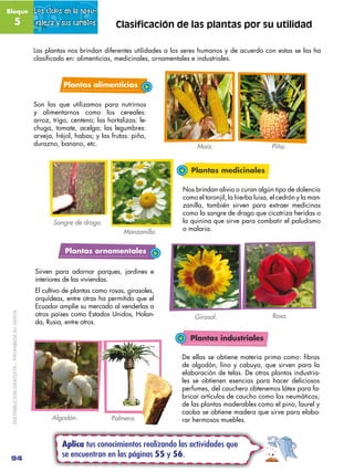 Bloque                                        Los ciclos en la natu-
               5                               raleza...