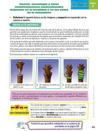 Ciencia, tecnología y otras
                                                                               Los ciclos en l...