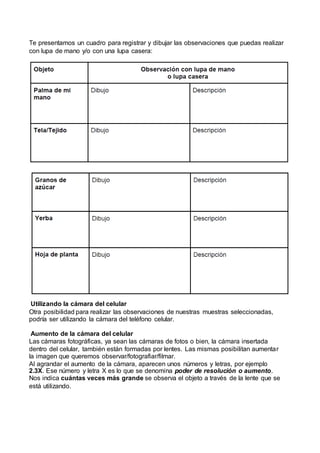 Te presentamos un cuadro para registrar y dibujar las observaciones que puedas realizar
con lupa de mano y/o con una lupa ...