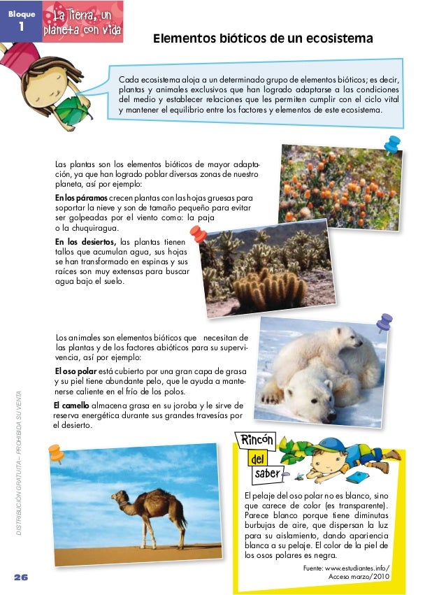 Rincon Ciclo Del Menstrual Vago