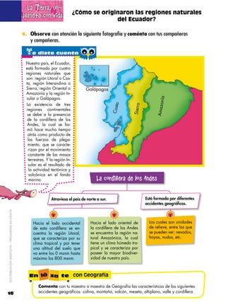 La Tierra, un
                                                                              ¿Cómo se originaron las regiones naturales
                                             planeta con vida                               del Ecuador?

                                             1. Observa con atención la siguiente fotografía y coménta con tus compañeros
                                                y compañeras.

                                               te diste cuenta
                                              Nuestro país, el Ecuador,
                                              está formado por cuatro
                                              regiones naturales que
                                              son: región Litoral o Cos-
                                              ta, región Interandina o
                                              Sierra, región Oriental o           Galápagos
                                              Amazonía y la región In-
                                               sular o Galápagos.




                                                                                                                            ía
                                                                                                                           Amazon
                                               La existencia de tres

                                                                                                  Costa



                                                                                                            Sierra
                                               regiones continentales
                                               se debe a la presencia
                                               de la cordillera de los
                                               Andes, la cual se for-
                                               mó hace mucho tiempo
                                                atrás como producto de
                                                las fuerzas de plega-
                                                miento, que se caracte-
                                                rizan por el movimiento
                                                constante de las masas
                                                terrestres. Y la región In-
                                                sular es el resultado de
                                                 la actividad tectónica y
                                                 volcánica en el fondo
                                                 marino.                                 La cordillera de los Andes

                                                              Atraviesa el país de norte a sur.                      Está formada por diferentes
                                                                                                                     accidentes geográficos.
DISTRIBUCIÓN GRATUITA – PROHIBIDA SU VENTA




                                                  Hacia el lado occidental           Hacia el lado oriental de         Los cuales son unidades
                                                  de esta cordillera se en-          la cordillera de los Andes        de relieve, entre las que
                                                  cuentra la región Litoral,         se encuentra la región na-        se pueden ver: nevados,
                                                  que se caracteriza por su          tural Amazónica, la cual          hoyas, nudos, etc.
                                                  clima tropical y por tener         tiene un clima húmedo tro-
                                                  una altitud del suelo que          pical y se caracteriza por
                                                  va entre los 0 msnm hasta          poseer la mayor biodiver-
                                                  máximo los 800 msnm.               sidad de nuestro país.



                                                En lá za te con Geografía

                                                      Comenta con tu maestro o maestra de Geografía las características de los siguientes
16                                                    accidentes geográficos: colina, montaña, volcán, meseta, altiplano, valle y cordillera.
 
