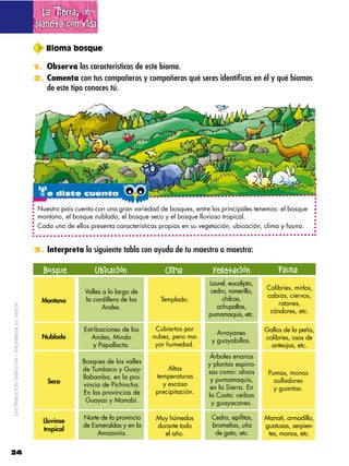 La Tierra, un
                                             planeta con vida

                                                 Bioma bosque

                                             1. Observa las características de este bioma.
                                             2. Comenta con tus compañeros y compañeras qué seres identificas en él y qué biomas
                                                 de este tipo conoces tú.




                                              te diste cuenta
                                              Nuestro país cuenta con una gran variedad de bosques, entre los principales tenemos: el bosque
                                              montano, el bosque nublado, el bosque seco y el bosque lluvioso tropical.
                                              Cada uno de ellos presenta características propias en su vegetación, ubicación, clima y fauna.


                                             3. Interpreta la siguiente tabla con ayuda de tu maestro o maestra:


                                               Bosque             Ubicación               Clima            Vegetación             Fauna
                                                                                                         Laurel, eucalipto,
                                                                                                                              Colibríes, mirlos,
                                                              Valles a lo largo de                        cedro, romerillo,
                                                                                                                              cabras, ciervos,
                                               Montano        la cordillera de los      Templado.             chilcas,
                                                                                                                                  ratones,
                                                                     Andes.                                 achupallas,
DISTRIBUCIÓN GRATUITA – PROHIBIDA SU VENTA




                                                                                                                               cóndores, etc.
                                                                                                         pumamaquis, etc.

                                                              Estribaciones de los    Cubiertos por                           Gallos de la peña,
                                                                                                            Arrayanes
                                               Nublado           Andes, Mindo        nubes, pero ma-                          colibríes, osos de
                                                                                                          y guayabillos.
                                                                  y Papallacta.       yor humedad.                              anteojos, etc.
                                                                                                          Árboles enanos
                                                             Bosques de los valles                       y plantas espino-
                                                             de Tumbaco y Guay-            Altas
                                                                                                         sas como: alisos      Pumas, monos
                                                             llabamba, en la pro-      temperaturas
                                                 Seco                                                     y pumamaquis,          aulladores
                                                             vincia de Pichincha.        y escasa
                                                                                                          en la Sierra. En       y guantas.
                                                             En las provincias de      precipitación.
                                                                                                         la Costa: ceibos
                                                              Guayas y Manabí.                            y guayacanes.

                                                             Norte de la provincia     Muy húmedos        Cedro, epifitas,    Manatí, armadillo,
                                               Lluvioso
                                                             de Esmeraldas y en la     durante todo       bromelias, uña      guatusas, serpien-
                                               tropical
                                                                  Amazonía.              el año.           de gato, etc.       tes, monos, etc.

24
 