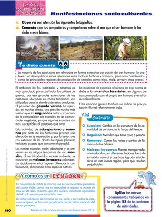 Los ciclos
                                              de la naturaleza
                                               y sus cambios                Manifestaciones socioculturales

                                             1. Observa con atención las siguientes fotografías.
                                             2. Comenta con tus compañeros y compañeras sobre el uso que el ser humano le ha
                                                  dado a este bioma.




                                                              Incendios forestales.     Consecuencias del sobrepastoreo.           Cultivo de gramíneas (maíz).

                                               te diste cuenta
                                               La mayoría de los pastizales son alterados en forma extensiva por acción del ser humano, lo que
                                               lleva a un desequilibrio en las relaciones entre factores bióticos y abióticos, pero son considerados
                                               como las principales regiones de producción de cereales como: trigo, maíz, arroz y otros granos.

                                             El ambiente de los pastizales y páramos es             La ausencia de especies arbóreas en este bioma se
                                             muy apropiado para casi todos los cultivos de          debe a los incendios forestales, en algunos ca-
                                             granos, por eso grandes extensiones de los             sos provocados por el propio ser humano y en otros
                                             pastizales ubicados en zonas templadas son             accidentalmente.
                                             utilizadas para la siembra de estos productos.
                                                                                                    Esta situación genera también un índice de precipi-
                                             El pastoreo del ganado vacuno ha ejerci-
                                                                                                    tación (lluvia) relativamente bajo.
                                             do, en muchas áreas, una presión mucho más
                                             intensa que los ungulados nativos, cambian-
                                             do la composición de especies en las comuni-             Mini diccionario
                                             dades vegetales, ya que algunas especies son
                                             más susceptibles al pastoreo que otras.
                                                                                                      !! Sucesión: Cambio en la estructura de la co-
                                             Esta actividad de sobrepastoreo y ramo-                       munidad de un bioma a lo largo del tiempo.
                                             neo por parte de los herbívoros provoca una
                                             alteración en la vegetación y, por lo tanto, una
                                                                                                      !! Ungulado: Mamífero que tiene casco o pezuña.
                                             casi extinción de las plantas forrajeras (alimento       !! Ramoneo: Comer las hojas y puntas de las
                                             herbáceo o pasto que consume el ganado).                      ramas de los árboles.
                                             Las nuevas especies están adaptadas y se pre-            !! Malezas invasoras: Plantas transportadas
DISTRIBUCIÓN GRATUITA ­ PROHIBIDA SU VENTA




                                             sentan en las etapas tempranas de una suce-                   o introducidas por diferentes factores fuera de
                                             sión; al ser introducidas en este ambiente, se                su hábitat natural y que han logrado estable-
                                             convierten en malezas invasoras, colonizan-                   cerse en esta nueva región, pero que resultan
                                             do rápidamente estos lugares alterados y, con                 perjudiciales.
                                             frecuencia, eliminando a las especies nativas.


                                             ¿ Y cómo es en Ecuador
                                                                                                       ¿
                                                                                                       ¿
                                             En noviembre de 2009 se informó que en las haciendas ganaderas
                                             del cantón Paján (zona rica en pastizales) se registró la muerte de
                                             más de 20 reses, mientras que otro número importante agonizaba
                                             debido a la sequía que soportó la zona.                                            Aplica tus nuevos
                                             La comercialización de la carne de res, leche y derivados de esta,            conocimientos trabajando en
                                             como el queso, se ha visto perjudicada por la crítica situación del           la página 58 de tu cuaderno
                                             sector ganadero.                                                                     de actividades.
110                                                       Referencia: http://www.eluniverso.com Acceso marzo 2010.
 