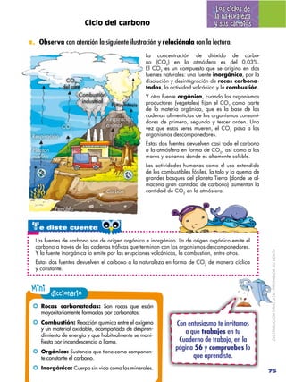 Los ciclos de
                                                                                    la naturaleza
                        Ciclo del carbono                                           y sus cambios

1. Observa con atención la siguiente ilustración y relaciónala con la lectura.

                                                      La concentración de dióxido de carbo-
                                                      no (CO2) en la atmósfera es del 0,03%.
                                                      El CO2 es un compuesto que se origina en dos
                                                      fuentes naturales: una fuente inorgánica, por la
                CO2                                   disolución y desintegración de rocas carbona-
               del aire                               tadas, la actividad volcánica y la combustión.
                      Combustión                      Y otra fuente orgánica, cuando los organismos
                        industrial                    productores (vegetales) fijan el CO2 como parte
                                       Fotosíntesis
                                                      de la materia orgánica, que es la base de las
                                                      cadenas alimenticias de los organismos consumi-
                                     Respiración
                                                      dores de primero, segundo y tercer orden. Una
               CO2                   animal
                                                      vez que estos seres mueren, el CO2 pasa a los
 Respiración                                          organismos descomponedores.
                                                      Estas dos fuentes devuelven casi todo el carbono
 Planton                                              a la atmósfera en forma de CO2, así como a los
 marino                                               mares y océanos donde es altamente soluble.
                                                      Las actividades humanas como el uso extendido
                                                      de los combustibles fósiles, la tala y la quema de
                                                      grandes bosques del planeta Tierra (donde se al-
                                                      macena gran cantidad de carbono) aumentan la
                                     Carbón           cantidad de CO2 en la atmósfera.


           Petróleo


 te diste cuenta
  Las fuentes de carbono son de origen orgánico e inorgánico. La de origen orgánico emite el
  carbono a través de las cadenas tróficas que terminan con los organismos descomponedores.




                                                                                                           DISTRIBUCIÓN GRATUITA ­ PROHIBIDA SU VENTA
  Y la fuente inorgánica lo emite por las erupciones volcánicas, la combustión, entre otros.
  Estas dos fuentes devuelven el carbono a la naturaleza en forma de CO2 de manera cíclica
  y constante.


 Mini diccionario
 !! Rocas carbonatadas: Son rocas que están
    mayoritariamente formadas por carbonatos.
 !! Combustión: Reacción química entre el oxígeno                  Con entusiasmo te invitamos
    y un material oxidable, acompañada de despren-
                                                                      a que trabajes en tu
    dimiento de energía y que habitualmente se mani-
    fiesta por incandescencia o llama.                              Cuaderno de trabajo, en la
                                                                   página 56 y compruebes lo
 !! Orgánica: Sustancia que tiene como componen-
    te constante el carbono.                                             que aprendiste.
 !! Inorgánica: Cuerpo sin vida como los minerales.                                                        75
 