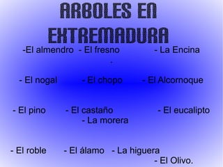 Arboles en
Extremadura-El almendro - El fresno - La Encina
.
- El nogal - El chopo - El Alcornoque
- El pino - El castaño - El eucalipto
- La morera
- El roble - El álamo - La higuera
- El Olivo.
 