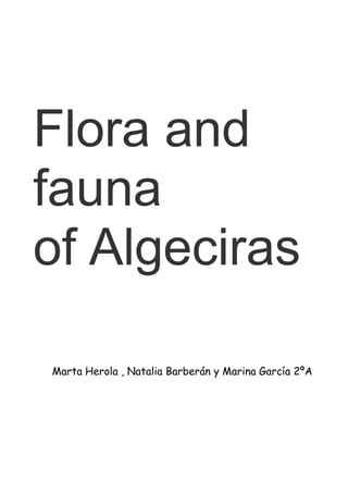 Flora and
fauna
of Algeciras
Marta Herola , Natalia Barberán y Marina García 2ºA
 