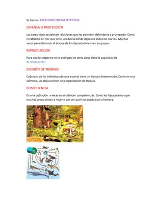 Se llaman RELACIONES INTRAESPECÍFICAS
DEFENSA O PROTECCIÓN
Los seres vivos establecen relaciones que les permiten defenderse y protegerse. Como
el caballito de mar que tiene una bolsa donde deposita todos los huevos. Muchas
veces para disminuir el ataque de los depredadores van en grupos.
REPRODUCCIÓN
Para que las especies no se extingan los seres vivos tiene la capacidad de
REPRODUCIRSE.
DIVISIÓN DE TRABAJO
Cada uno de los individuos de una especie tiene un trabajo determinado. Como en una
colmena, las abejas tienen una organización de trabajo.
COMPETENCIA
En una población a veces se establecen competencias. Como los hipopótamos que
muchas veces pelean a muerte por ver quién se queda con la hembra.
 