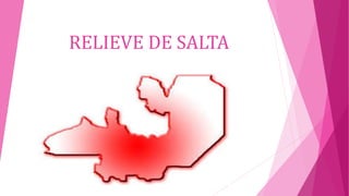 RELIEVE DE SALTA
 