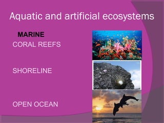 Aquatic and artificial ecosystems
 MARINE
CORAL REEFS
SHORELINE
OPEN OCEAN
 