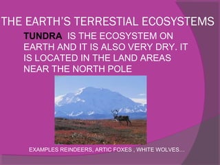 THE EARTH’S TERRESTIAL ECOSYSTEMS
 TUNDRA IS THE ECOSYSTEM ON
EARTH AND IT IS ALSO VERY DRY. IT
IS LOCATED IN THE LAND AREAS
NEAR THE NORTH POLE
EXAMPLES REINDEERS, ARTIC FOXES , WHITE WOLVES…
 