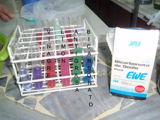 V  L  A  B I  I  N  I N  M  T  C A  O  I  A G  N  G  R R  R  B E  A  O S  N A  A T O 