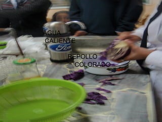 AGUA  CALIENTE REPOLLO COLORADO  