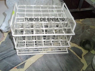 TUBOS DE ENSAYO 