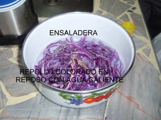 ENSALADERA REPOLLO COLORADO EN  REPOSO CON AGUA CALIENTE 
