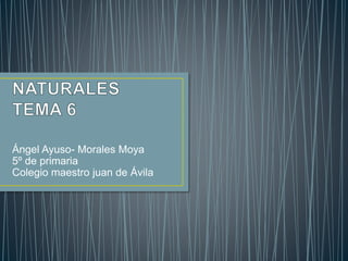 Ángel Ayuso- Morales Moya
5º de primaria
Colegio maestro juan de Ávila
 