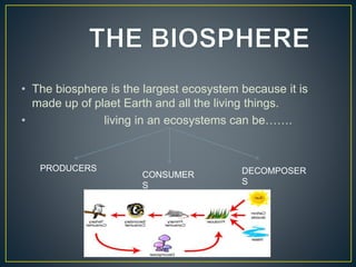 • The biosphere is the largest ecosystem because it is
made up of plaet Earth and all the living things.
• living in an ecosystems can be…….
PRODUCERS
CONSUMER
S
DECOMPOSER
S
 