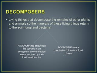 • Living things that decompose the remains of other plants
and animals so the minerals of these living things return
to the soil (fungi and bacteria)
FOOD WEBS are a
conbination of various food
chains
FOOD CHAINS show how
the species in an
ecosystem are connected
to one another by their
food relationships
 