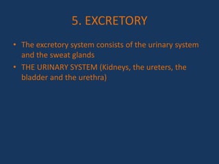 5. EXCRETORY
• The excretory system consists of the urinary system
and the sweat glands
• THE URINARY SYSTEM (Kidneys, the ureters, the
bladder and the urethra)
 