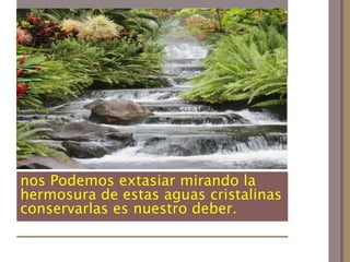 nos Podemos extasiar mirando la hermosura de estas aguas cristalinas  conservarlas es nuestro deber.