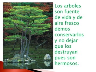 Los arboles son fuente de vida y de aire fresco demos conservarlos y no dejar que los destruyan pues son hermosos.