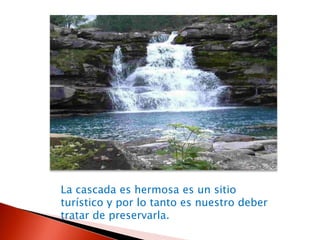 La cascada es hermosa es un sitio turístico y por lo tanto es nuestro deber tratar de preservarla. 